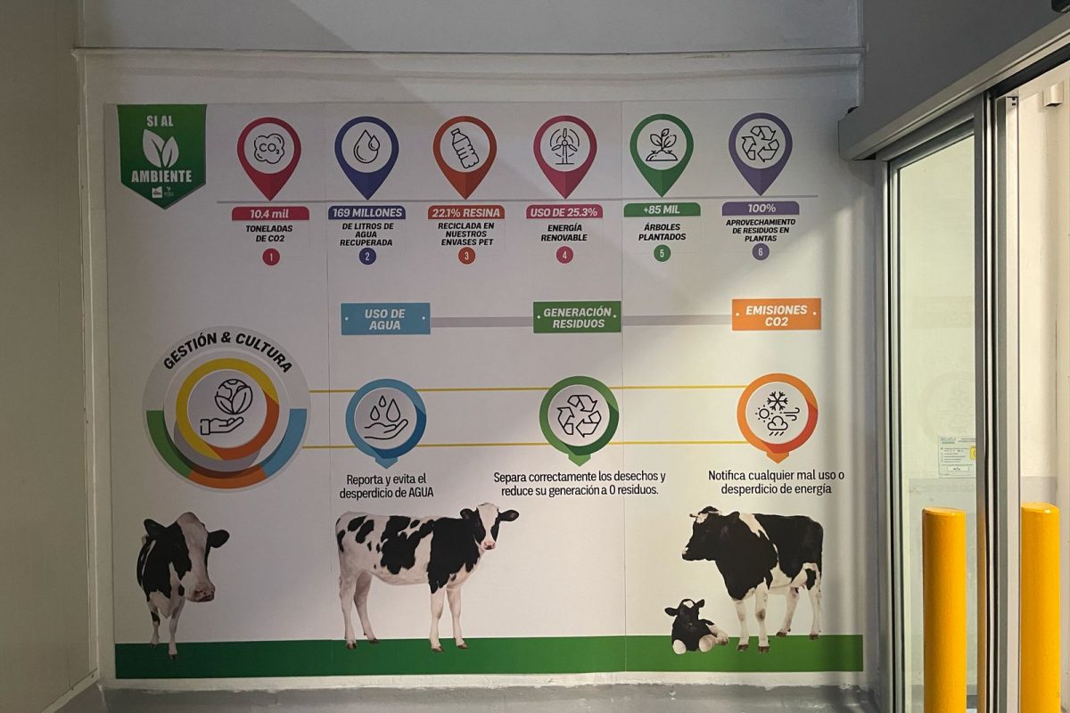 WhatsApp Image 2025-04-24 at 17.51.38 (2)