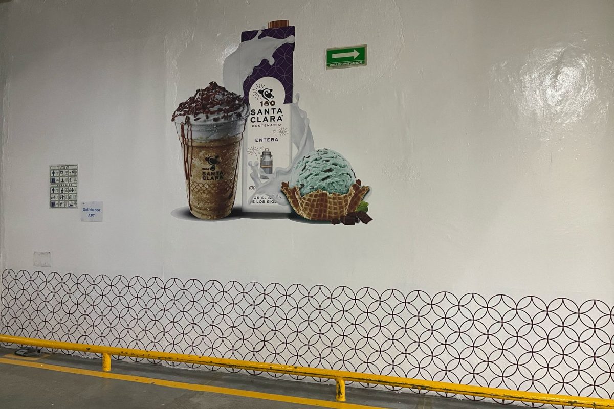 WhatsApp Image 2025-04-24 at 17.51.39 (3)